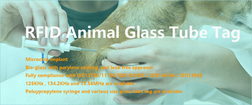 ZhiJie Rfid Animals Glass Tube Tag Factory