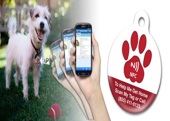  NFC Digitaliza la velocidad de la información para rescatar a muchas mascotas perdidas